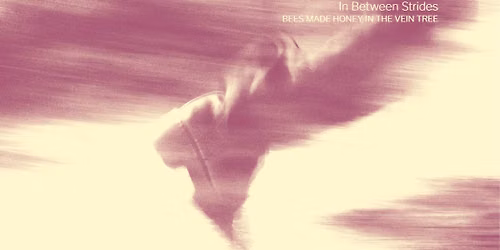 BNB presents: Bees Made Honey in the Vein Tree (DE) & Hidden Since the Foundation of the World