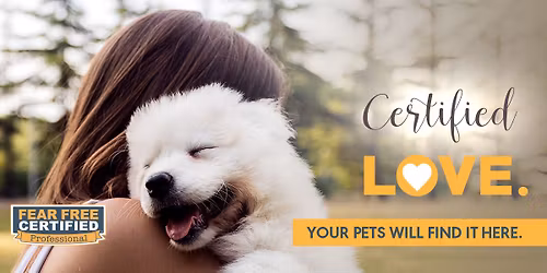 Intermediate Agility