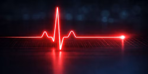 FORMATION PREMIER SECOURS CANIN ET FELIN