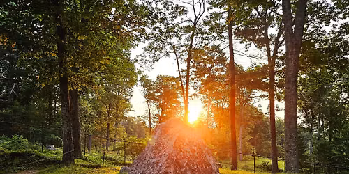 Summer Solstice