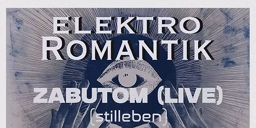 Elektro Romantik: Zabutom (LIVE) \/ Luke Eargoggle \/ DJ Robo
