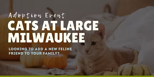 Cat's at Large Adoption Meet & Greet
