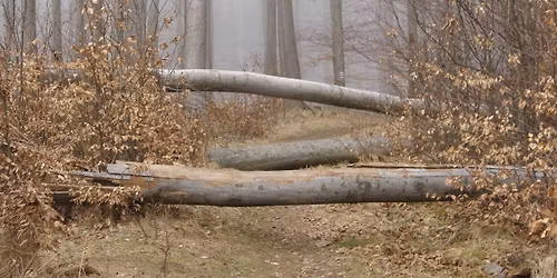 \u010castovsk\u00e1 50 - 48. ro\u010dn\u00edk - 9.5.2026