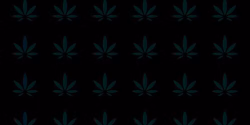 The Exchange - Michigan