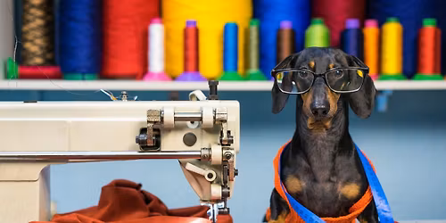 Sew Simple (learn the machine and sewing basics)