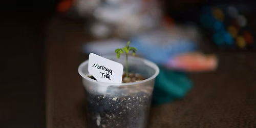 Books & Plant Bingo Night