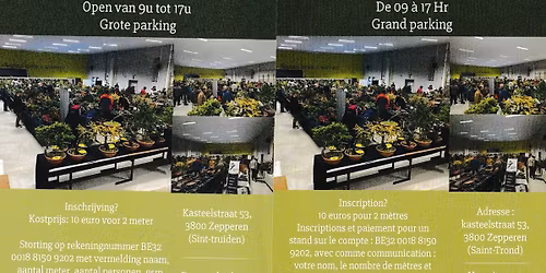 Haspengouwse Bonsaimarkt te ZEPPEREN SINT_TRUIDEN