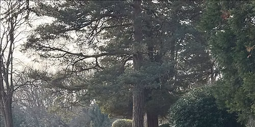 CWGC Tours 2026 - Midhurst Cemetery