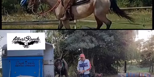 Albert Janik Odczulanie + bezpieczny za\u0142adunek do przyczepy 