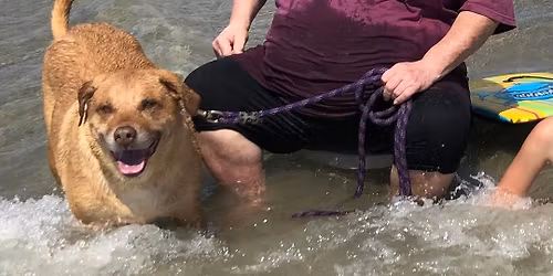 Carl Runyon memorial