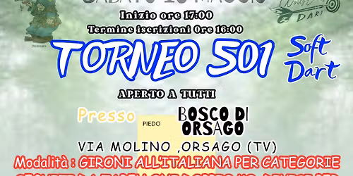 TORNEO 501 BOSCO DI ORSAGO