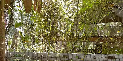 Eagle Scout Pet Supply Drive for Local Rescue Animals 