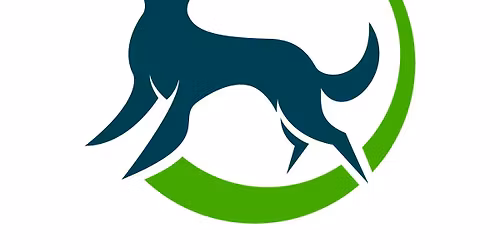 Drop Off Dog Training