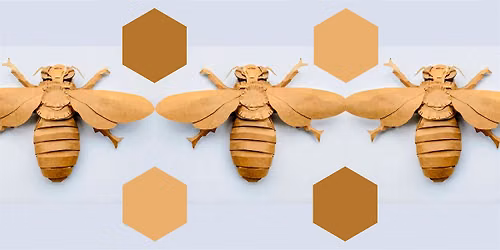 The Great Cardboard Bee Make!
