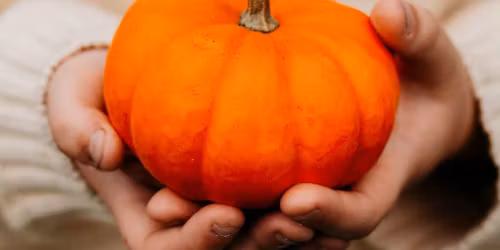 A Grateful Flow: Thanksgiving Day Donation Yoga