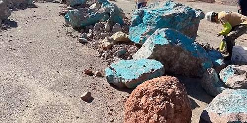 Cactus Mine Tour & Rock Hunt