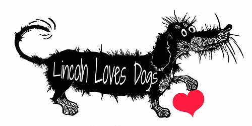 Lincoln Loves Dogs