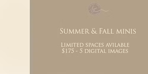 Summer and Fall minis