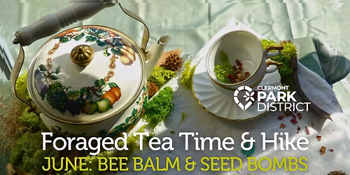 Foraged Tea Time & Hike: Bee Balm & Seed Bombs