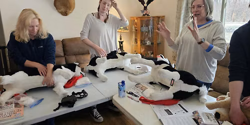 Pet Tech\u00ae Pet CPR & First Aid