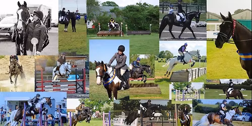 Fawkham RC dressage - show 4