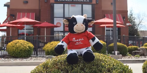 Build-A-Cow Stuffed Animal Event