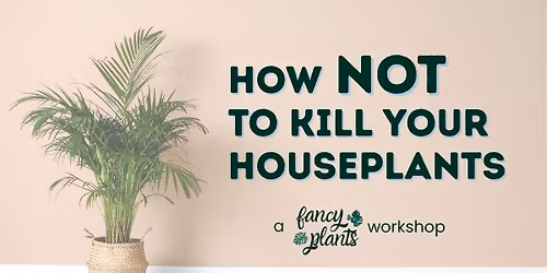 How NOT to K*ll Your Houseplants