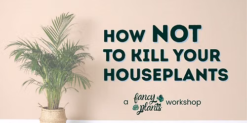 How NOT to K*ll Your Houseplants