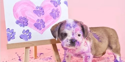 July Club Meeting - Paint Your Pet Canvas with Animal Shelter Collection