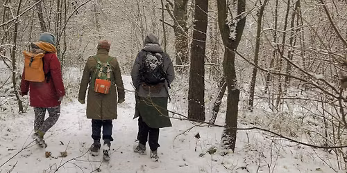 Dzikie wie\u015bci \u2013 tropicielski d\u0142ugi weekend