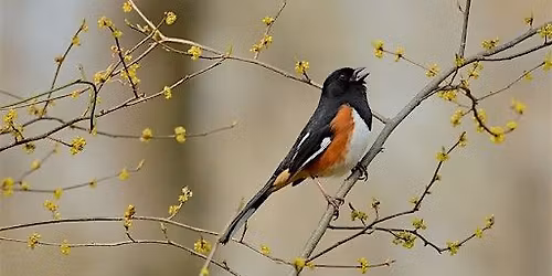 Signs of Spring Hike