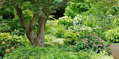 Book Club: The Dante Club by Matthew Pearl