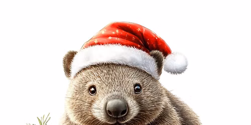 Christmas in July Market - 2 Days inside 10-3 Sat & 10 -1 Sun