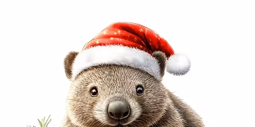 Christmas in July Market - 2 Days inside 10-3 Sat & 10 -1 Sun