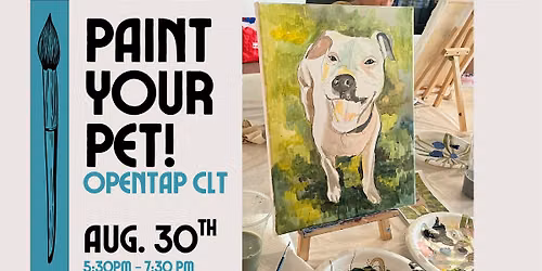 Paint Your Pet at OpenTap