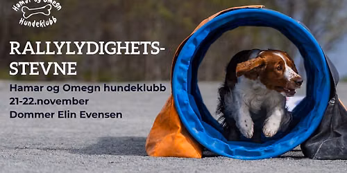 Rallylydighetsstevne