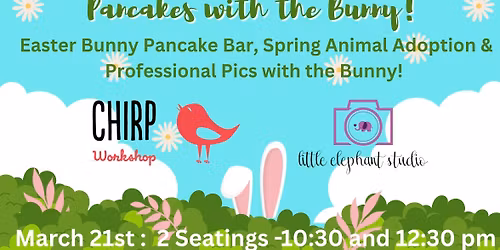 Pancakes with the Bunny and Little Elephant Studio