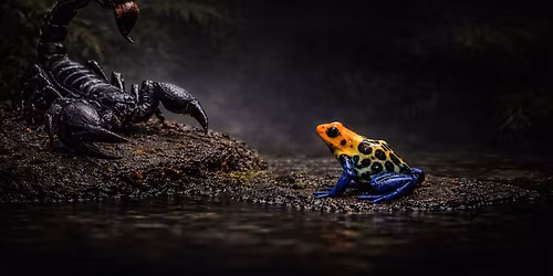 FAUNIA BRATISLAVA 7.6.2026