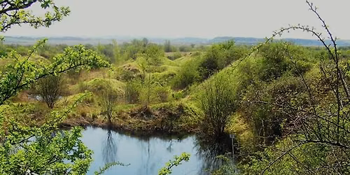 Volunteer Day \u2013 Hampton Nature reserve
