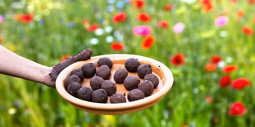 Earth Day Seed Bombs