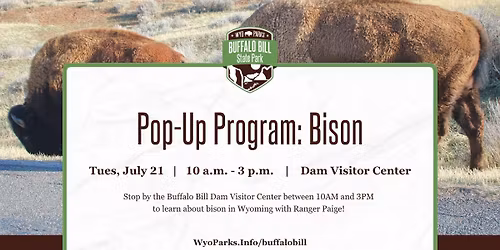 Pop-Up Program: Bison