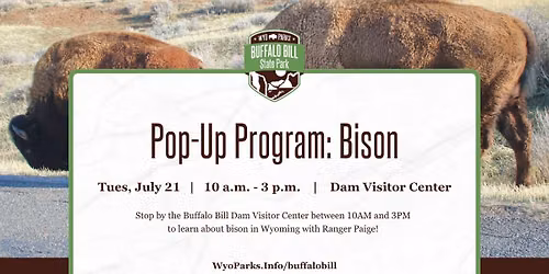 Pop-Up Program: Bison