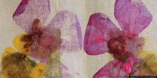 Family Workshop: Flower and Plant Hapa Zome Prints