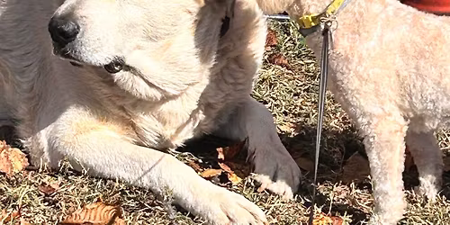 Christmas Holiday camp part 2