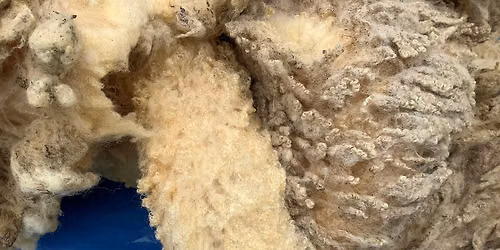 Fleece to Fiber - Summer Camp