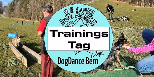 Trainings-Tag 2026
