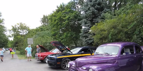 Cars and Canines Show