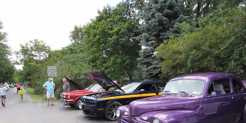 Cars and Canines Show