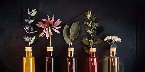 W zdrowiu z olejkami eterycznymi w Le\u015bnej Nimfie