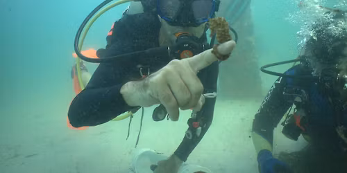 SPRING CLEAN UP DIVE